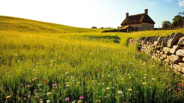Top creative landscaping ideas for Cotswolds outdoor spaces