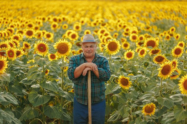 Meribel rental agencies: your ticket to unforgettable stays